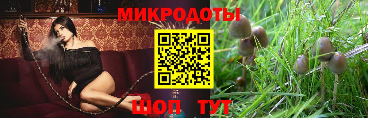 Псилоцибиновые грибы Cubensis  Псилоцибиновые грибы Cubensis  Вход с VPN  Йошкар-Ола 